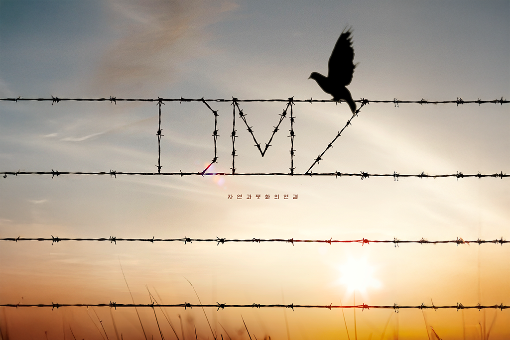 DMZ 방문 전 필독 가이드: 출입 절차와 현장 규정 한 번에 정리