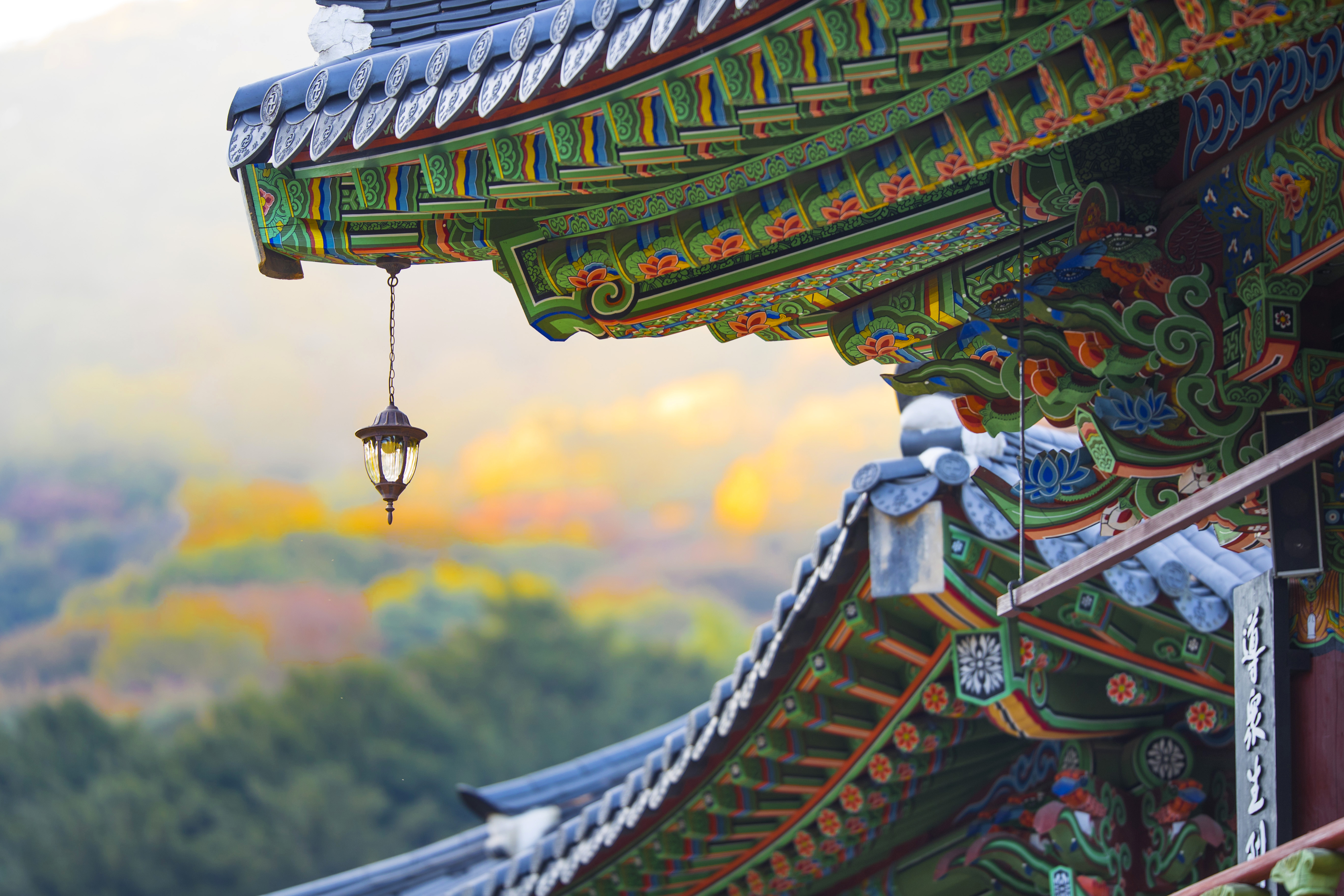 서울 도심 속 힐링, 블레저를 위한 K-명상 템플스테이: 평화로운 휴식과 문화 체험