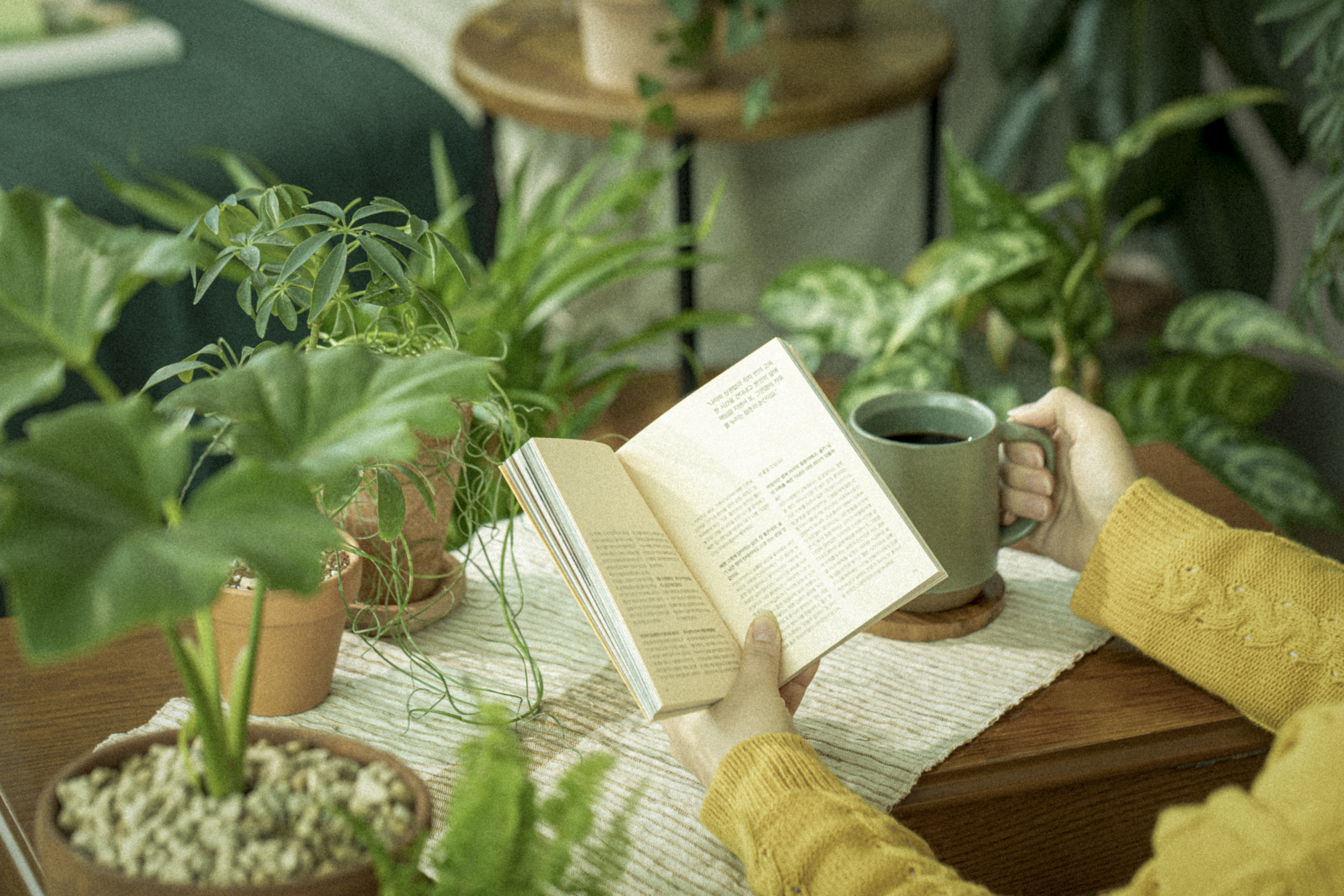 서울의 여름을 식물과 함께: 블레저 관광객을 위한 도심 속 실내정원 3곳