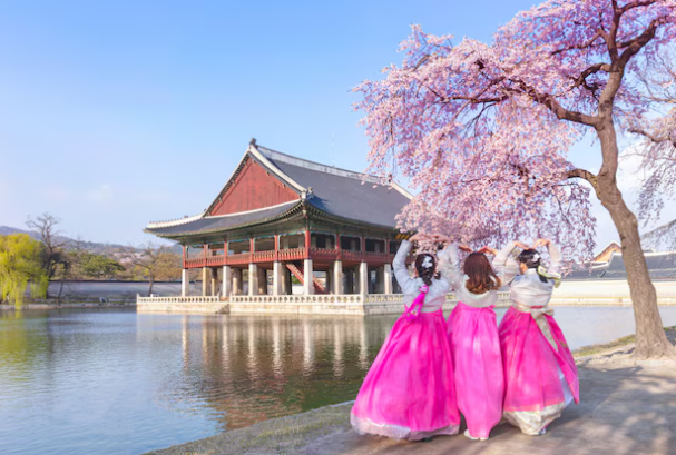 외국인이 사랑하는 한국의 봄 체험 TOP 5 + 진해·경주 지방 투어