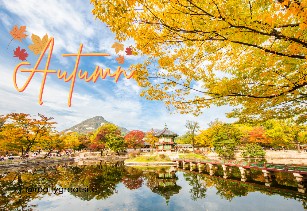 사계절 비즈니스 관광