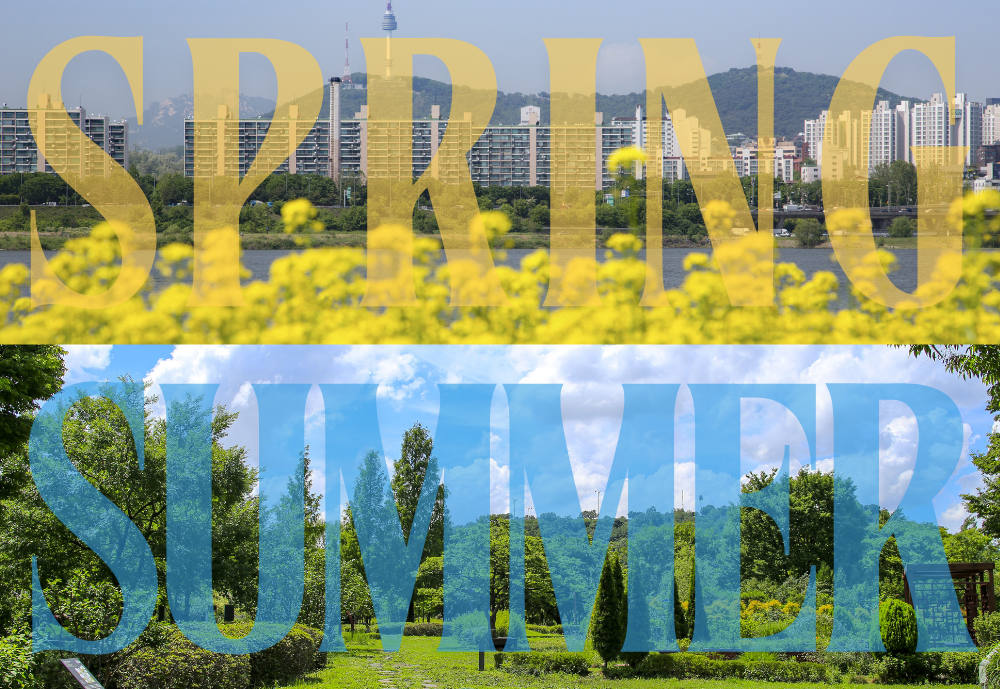 사계절 비즈니스 관광