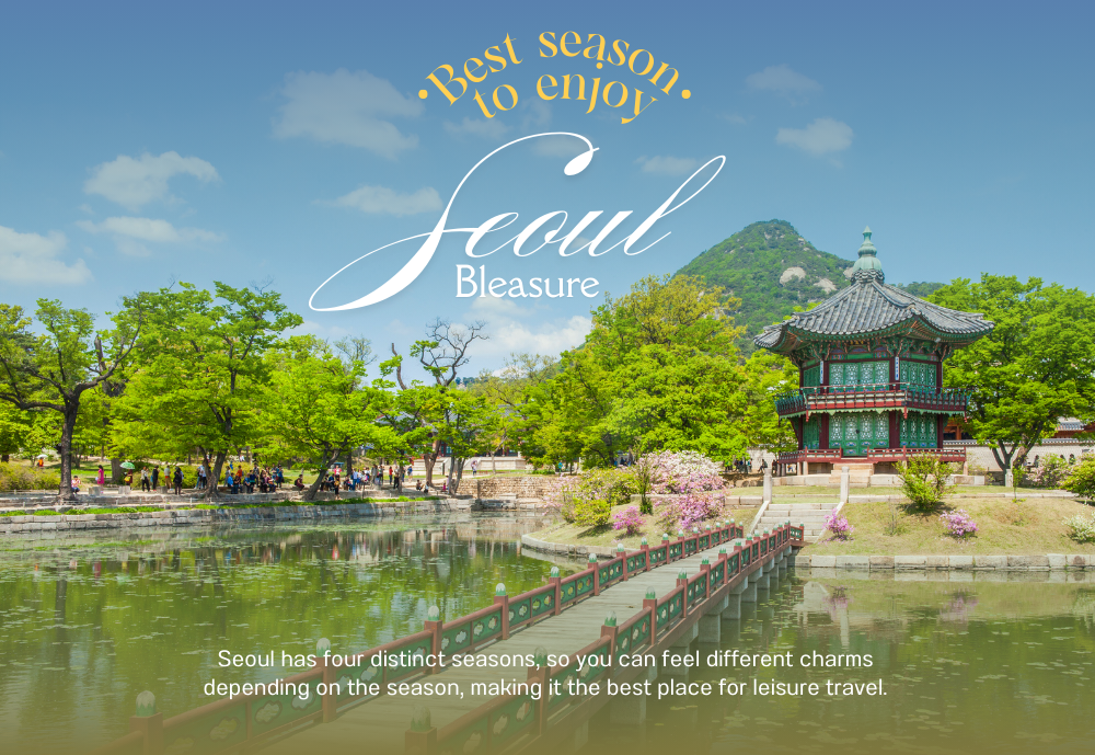 사계절 비즈니스 관광