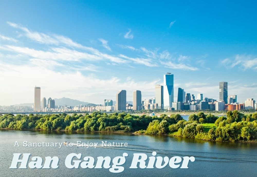 외국인 비즈니스 서울 관광