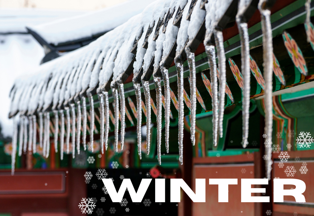 사계절 비즈니스 관광