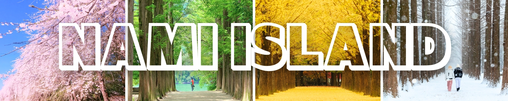 외국인 관광 남이섬 투어