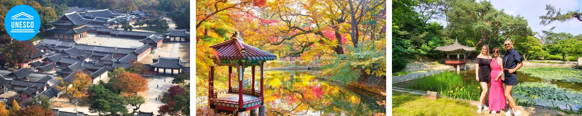 외국인 관광 창덕궁