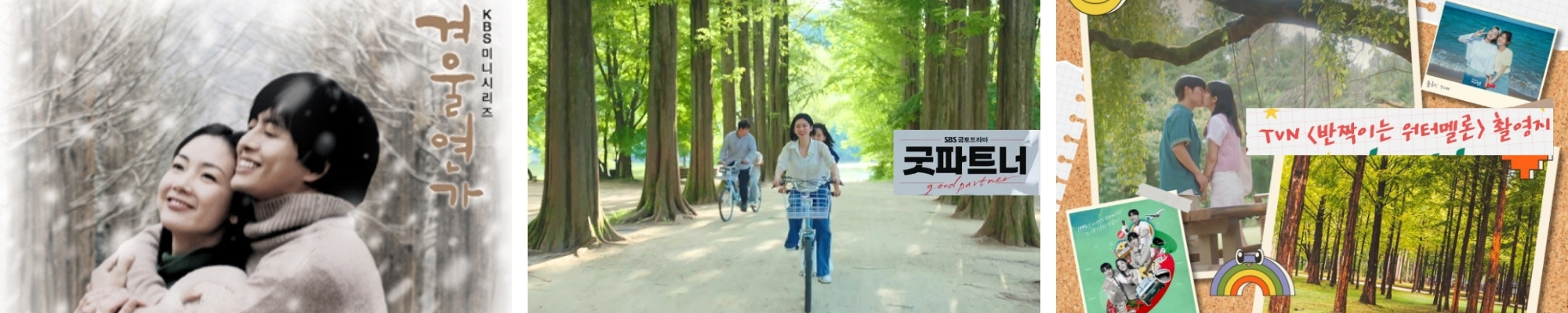 외국인 남이섬 투어 추천