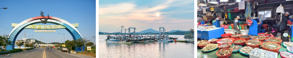 외국인 여행 대명항 투어