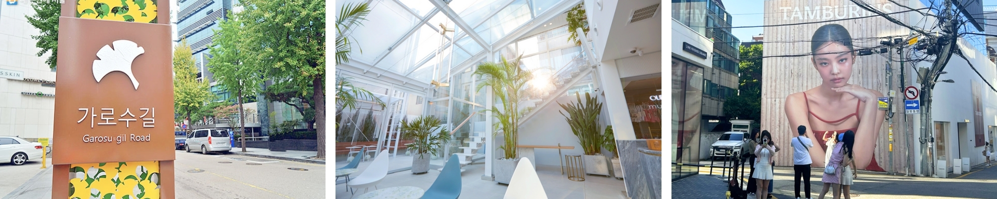 외국인관광 신사동 가로수길