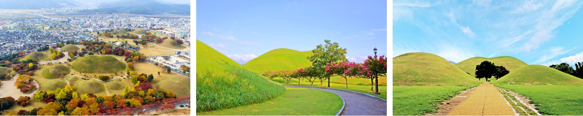 외국인 투어 경주 대릉원 관광