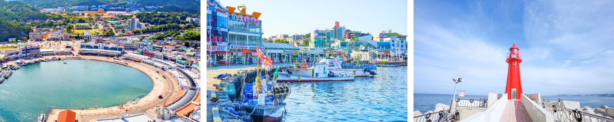 외국인 관광 대포항