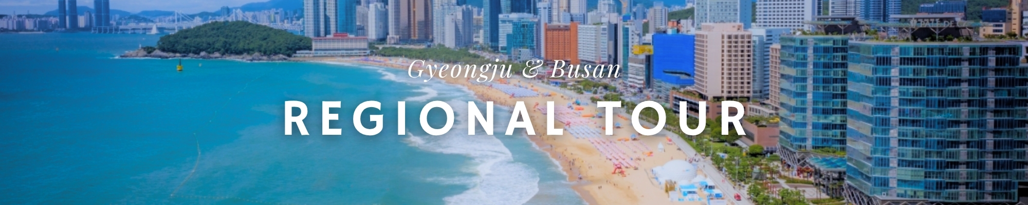 외국인 관광 부산 경주 투어