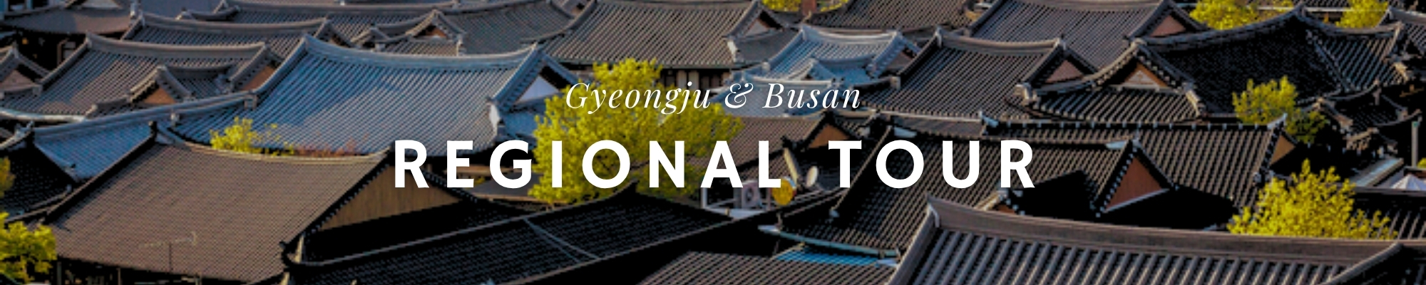 외국인 관광 전주 투어 