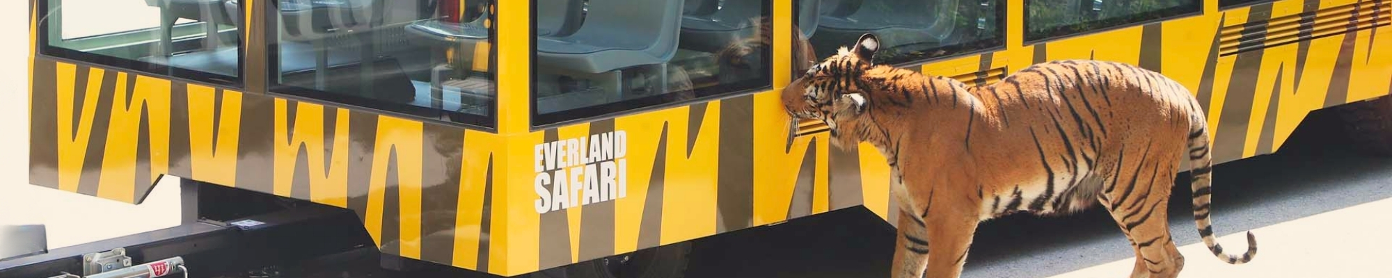 외국인 투어 추천