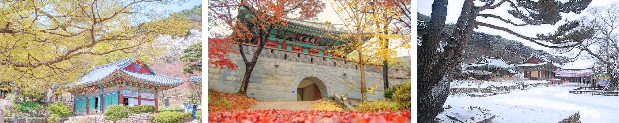 외국인 관광 전등사