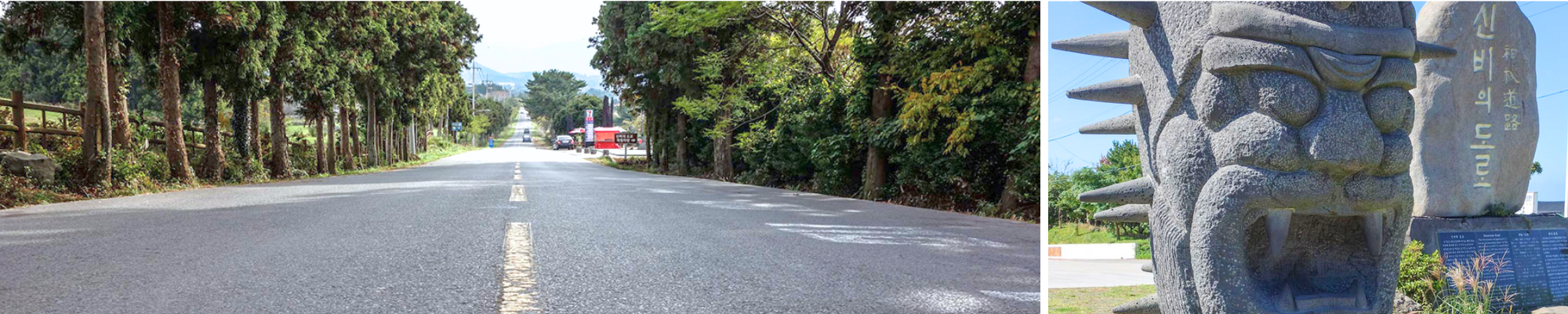 외국인 관광 제주도 투어 신비의 도깨비 도로