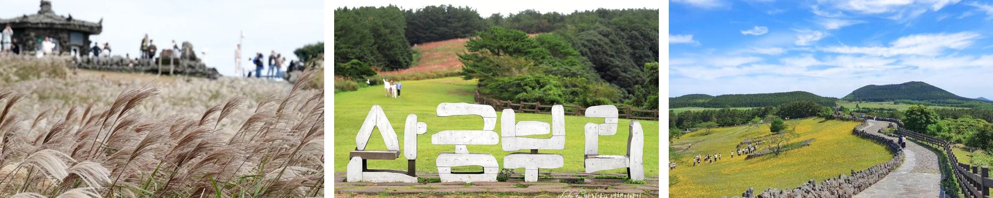외국인 투어 제주 관광 산굼부리