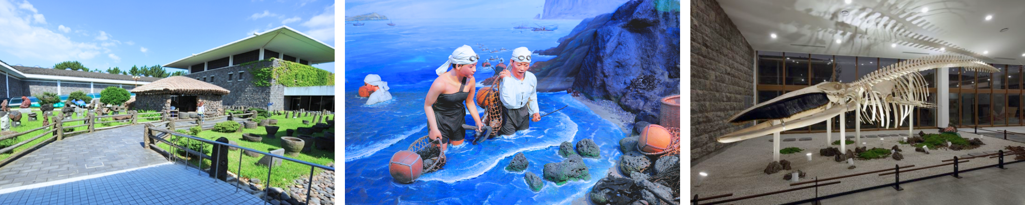 외국인 관광 제주 민속 자연사박물관