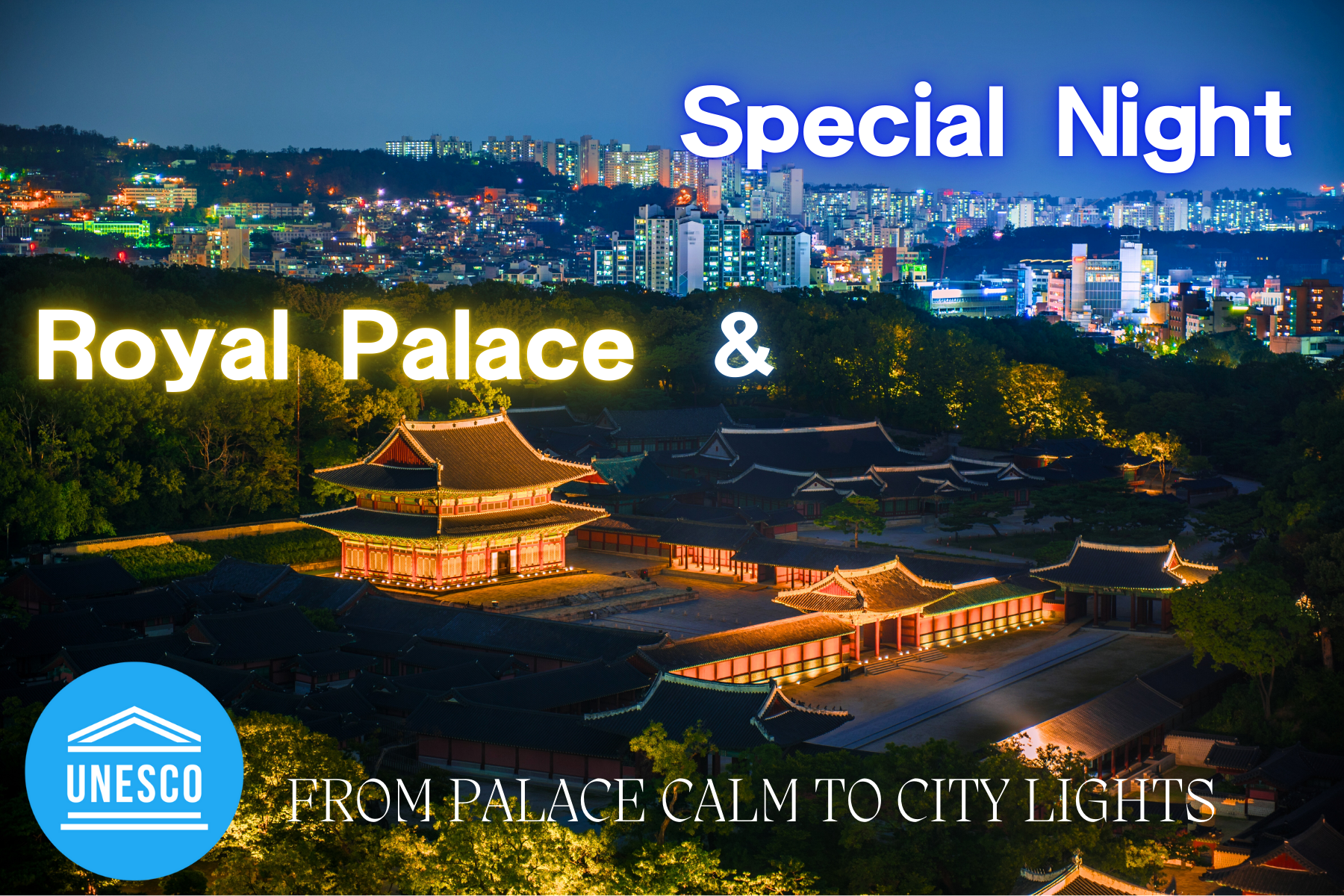 서울 나이트투어 야간투어