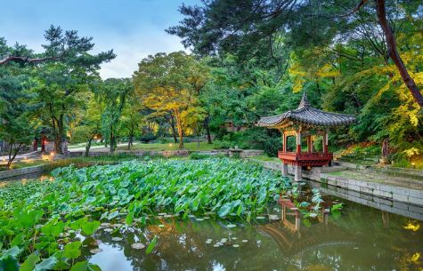 Changdeokgung Palace Secret Garden rear garden spring tour UNESCO World Heritage Seoul