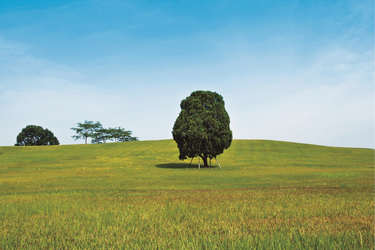 올림픽공원 산책 야외 조각 서울 5월