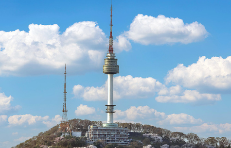 Namsan Seoul Tower panoramic city view optional