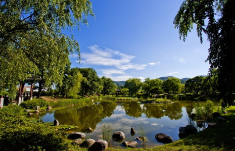 Cheonan Samgeori Park weeping willow pond traditional Korean garden